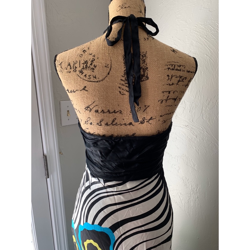 Cache Dress - Picture 5 of 5